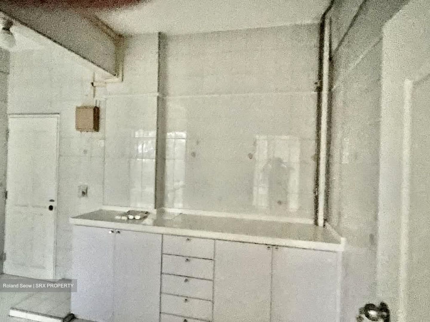 Botanic Gardens Mansion (D10), Apartment #586653351